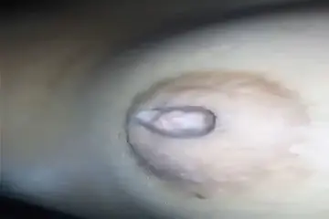 Pacar Sange Remas Dada Kemaluan Basah Hot
